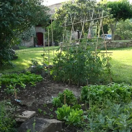 Mit Balkonblick Ins Bergige Gruene By Interhome * Monte Vibiano Vecchio