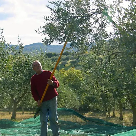 Apartment Mit Balkonblick Ins Bergige Gruene By Interhome Monte Vibiano Vecchio